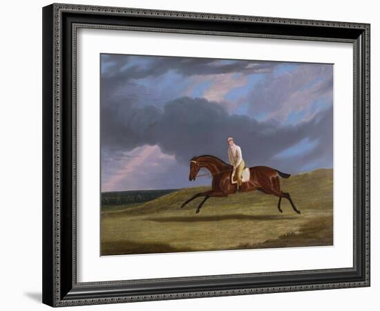 Corduroy', a Bay Racehorse, with a Jockey Up, Galloping on a Racecourse-John Frederick Herring I-Framed Giclee Print