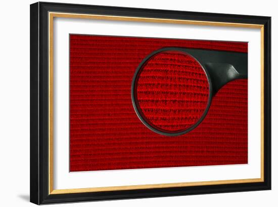 Corduroy Under a Magnifying Glass-Linda Wright-Framed Photographic Print