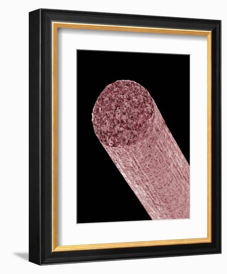 Core of Mechanical Pencil-Micro Discovery-Framed Photographic Print