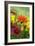 Coreopsis And Gazania-Maria Mosolova-Framed Photographic Print