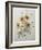 Coreopsis or Tickseed-Pierre-Joseph Redoute-Framed Art Print