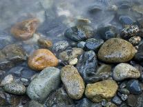 Rocks at edge of river, Eagle Falls, Snohomish County, Washington State, USA-Corey Hilz-Photographic Print