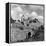 Corfe Castle, 1952-Unknown-Framed Premier Image Canvas