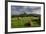 Corfe cows-Charles Bowman-Framed Photographic Print