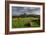 Corfe cows-Charles Bowman-Framed Photographic Print