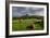 Corfe cows-Charles Bowman-Framed Photographic Print