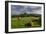 Corfe cows-Charles Bowman-Framed Photographic Print