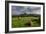 Corfe cows-Charles Bowman-Framed Photographic Print