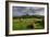 Corfe cows-Charles Bowman-Framed Photographic Print