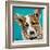 Corgi Cuteness I-Carolee Vitaletti-Framed Art Print