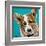 Corgi Cuteness I-Carolee Vitaletti-Framed Art Print