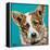 Corgi Cuteness I-Carolee Vitaletti-Framed Stretched Canvas