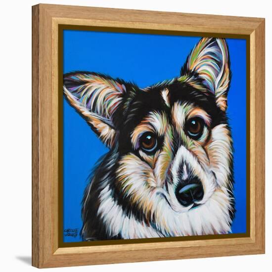 Corgi Cuteness II-Carolee Vitaletti-Framed Stretched Canvas