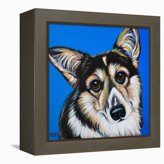 Corgi Cuteness II-Carolee Vitaletti-Framed Stretched Canvas