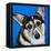 Corgi Cuteness II-Carolee Vitaletti-Framed Stretched Canvas