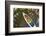 Corgi Dog in a Decked Expedition Canoe on a Lake in Colorado, a Distorted Wide Angle Fisheye Lens P-PixelsAway-Framed Photographic Print