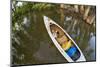 Corgi Dog in a Decked Expedition Canoe on a Lake in Colorado, a Distorted Wide Angle Fisheye Lens P-PixelsAway-Mounted Photographic Print