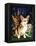 Corgi of the Faeries - Fairy Dog-Jasmine Becket-Griffith-Framed Stretched Canvas