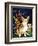 Corgi of the Faeries - Fairy Dog-Jasmine Becket-Griffith-Framed Art Print