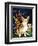 Corgi of the Faeries - Fairy Dog-Jasmine Becket-Griffith-Framed Art Print