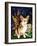 Corgi of the Faeries - Fairy Dog-Jasmine Becket-Griffith-Framed Art Print