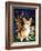Corgi of the Faeries - Fairy Dog-Jasmine Becket-Griffith-Framed Art Print