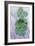 Coriander Leaves-Maxine Adcock-Framed Photographic Print