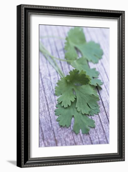 Coriander Leaves-Maxine Adcock-Framed Photographic Print