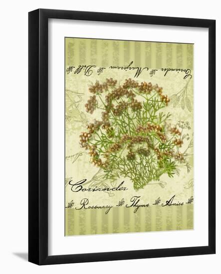 Coriander-Kate Ward Thacker-Framed Giclee Print