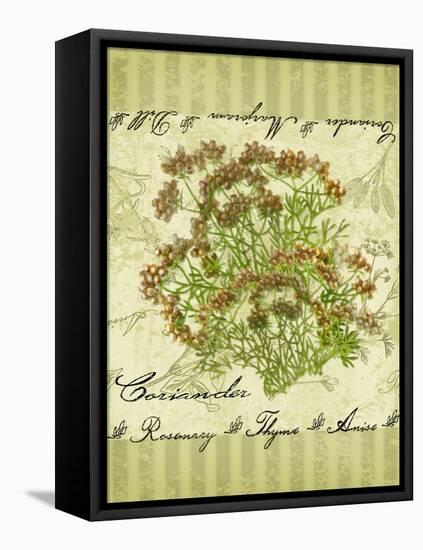 Coriander-Kate Ward Thacker-Framed Premier Image Canvas