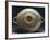 Corinthian Pottery from Apulia, Italy-null-Framed Giclee Print