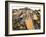 Cork Bark for Bottle Corks Stacked to Dry Near Tempio Pausania, Island of Sardinia, Italy-Michael Newton-Framed Photographic Print