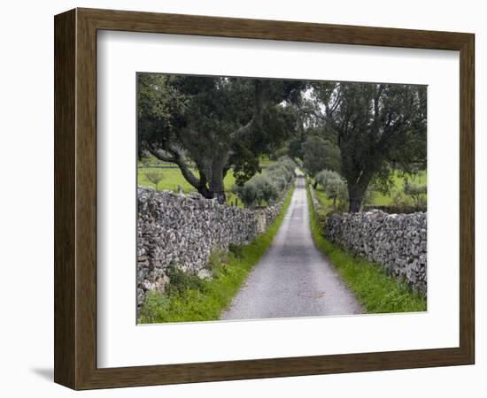 Cork oak in the Alentejo. Portugal-Martin Zwick-Framed Photographic Print