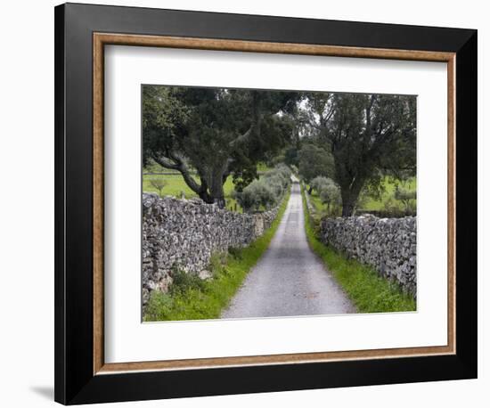 Cork oak in the Alentejo. Portugal-Martin Zwick-Framed Photographic Print