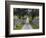 Cork oak in the Alentejo. Portugal-Martin Zwick-Framed Photographic Print