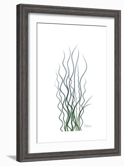 Corkscrew Rush-Albert Koetsier-Framed Premium Giclee Print