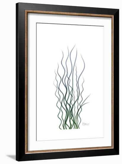 Corkscrew Rush-Albert Koetsier-Framed Premium Giclee Print