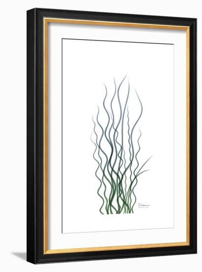 Corkscrew Rush-Albert Koetsier-Framed Premium Giclee Print