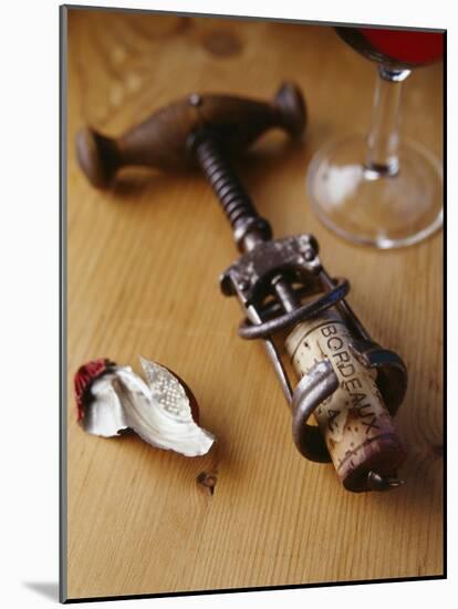Corkscrew with Cork-null-Mounted Photographic Print