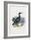 Cormorant, 1863-79-Raimundo Petraroja-Framed Giclee Print