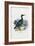 Cormorant, 1863-79-Raimundo Petraroja-Framed Giclee Print