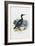 Cormorant, 1863-79-Raimundo Petraroja-Framed Giclee Print