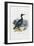 Cormorant, 1863-79-Raimundo Petraroja-Framed Giclee Print