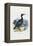 Cormorant, 1863-79-Raimundo Petraroja-Framed Premier Image Canvas