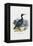 Cormorant, 1863-79-Raimundo Petraroja-Framed Premier Image Canvas