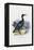 Cormorant, 1863-79-Raimundo Petraroja-Framed Premier Image Canvas