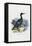 Cormorant, 1863-79-Raimundo Petraroja-Framed Premier Image Canvas