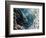 Cormorant, 2019 (Oil on Canvas)-jocasta shakespeare-Framed Giclee Print