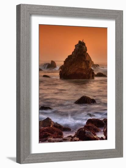 Cormorant and the Sonoma Coast-Vincent James-Framed Photographic Print