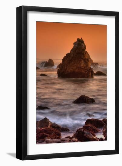 Cormorant and the Sonoma Coast-Vincent James-Framed Photographic Print